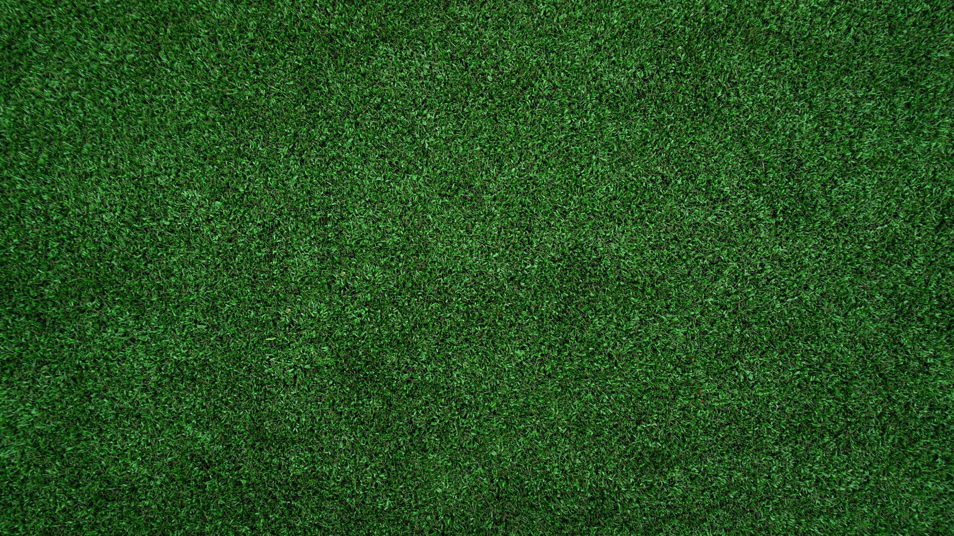 Artificial turf or fake grass installation.