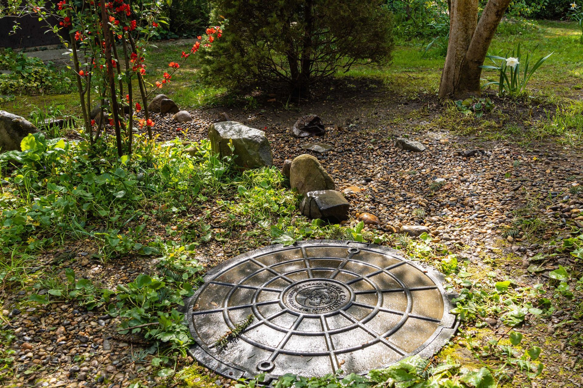 A filtration field for a septic tank is covered with gravel and decorated with stones and plants.