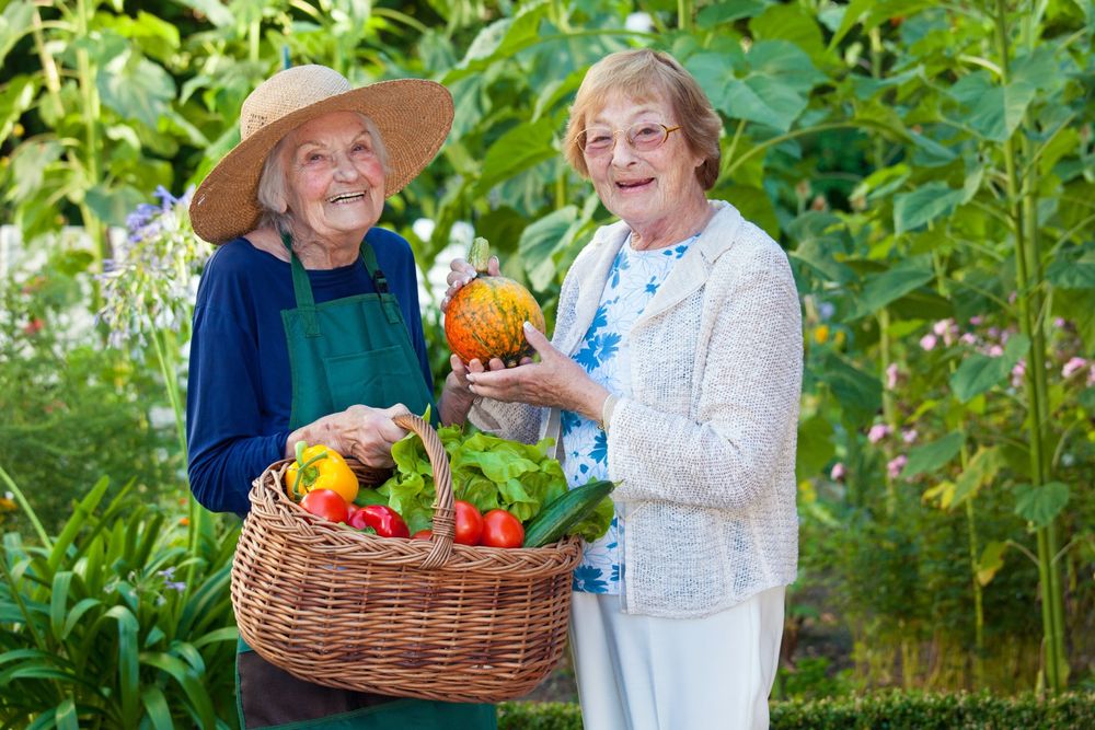 Due persone sorridono in un giardino, con un cesto di verdure in mano, accanto a piante verdi e rigogliose.