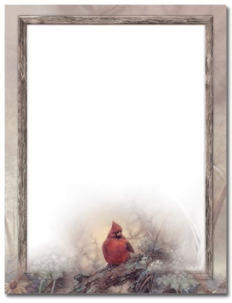 bird folder