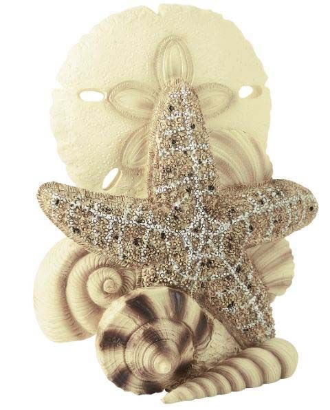 A starfish is sitting on top of a sand dollar