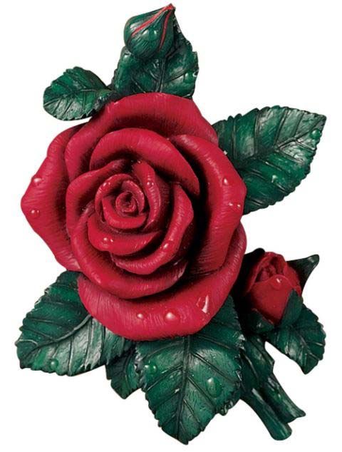 A red rose with green leaves on a white background