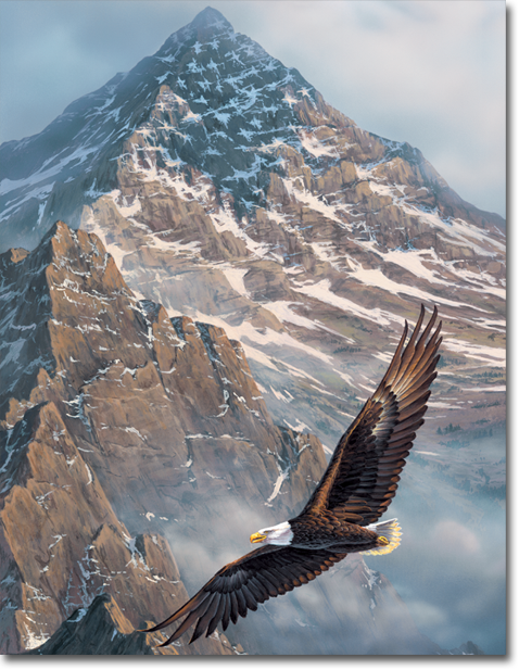 A bald eagle is flying over a mountain range