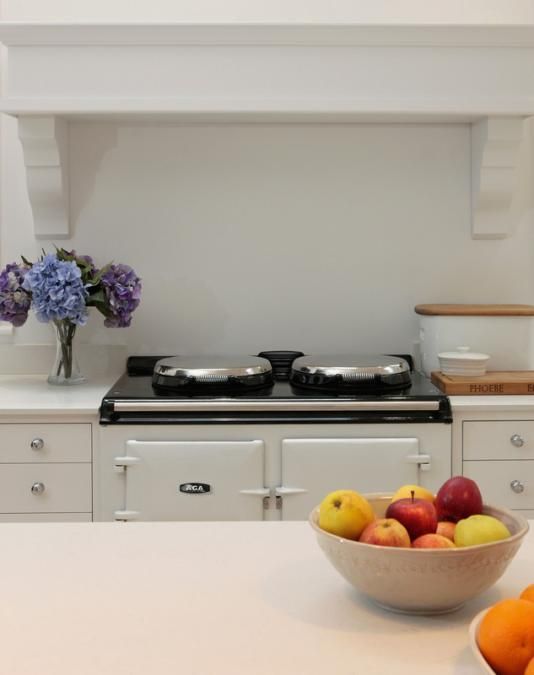 Why not check out our Special Offers on AGA Range Cookers today? Photograph of AGA R3-100 Twin Hotplate model in a kitchen and part obscured by worktop. Flowers to left of AGA cooker and fruit bowl with apples, oranges and pears in the foreground.