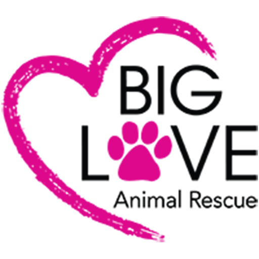 The logo for pawsitive beginnings is a paw print with a heart in the middle.
