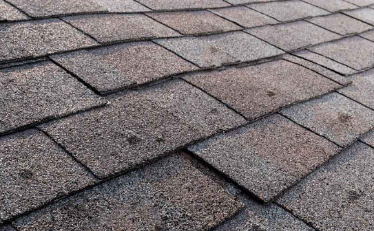 Close-up of weathered gray asphalt shingles on a roof