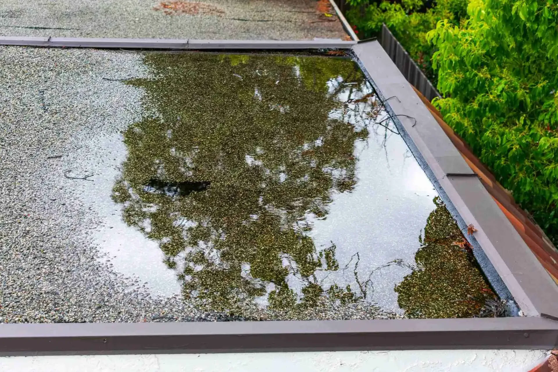 Rainwater pooled on a flat rooftop, reflecting tree branches beside a gravel border.