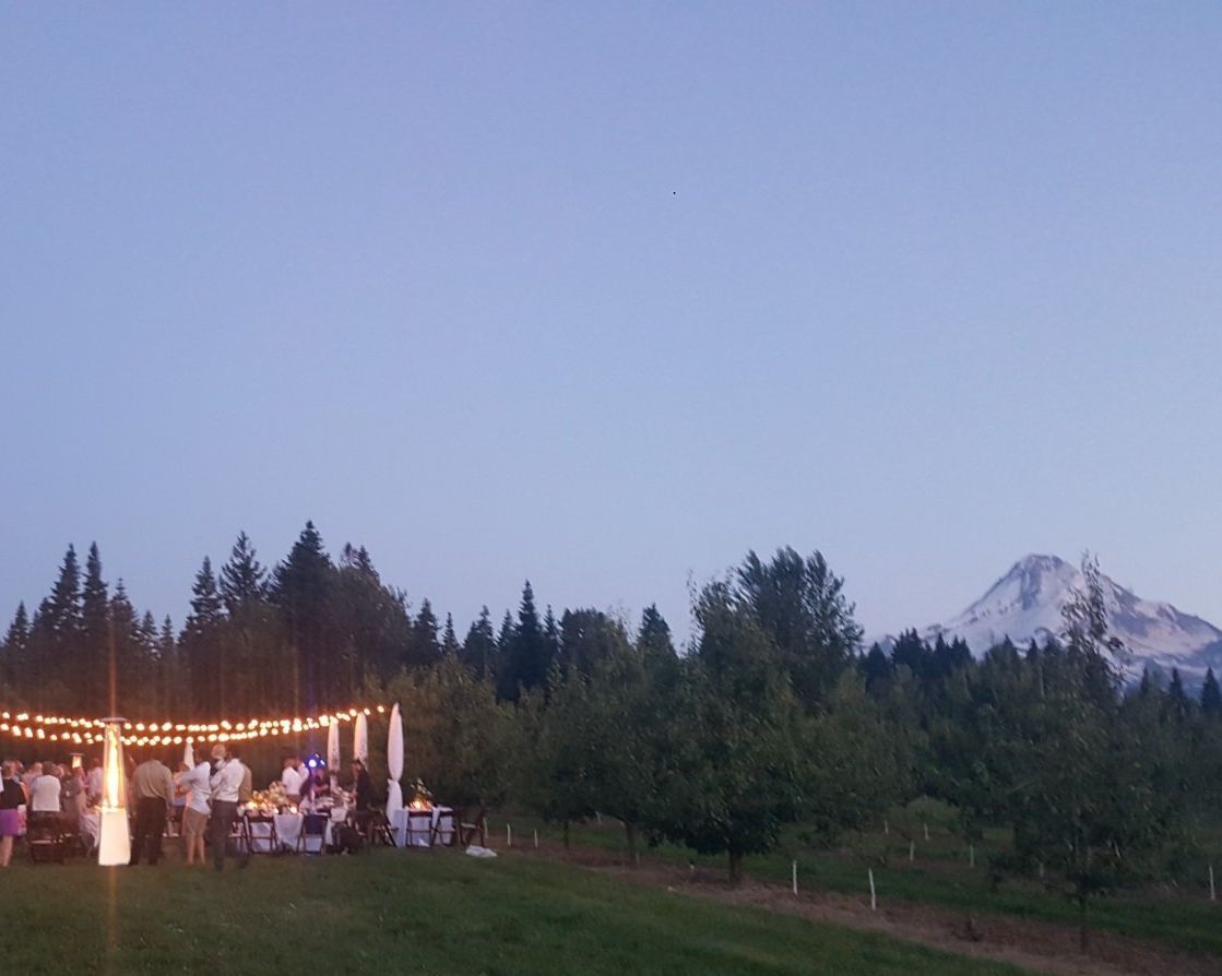 Twilight outdoor wedding reception with mountain backdrop. Guests seated at tables with string lights.