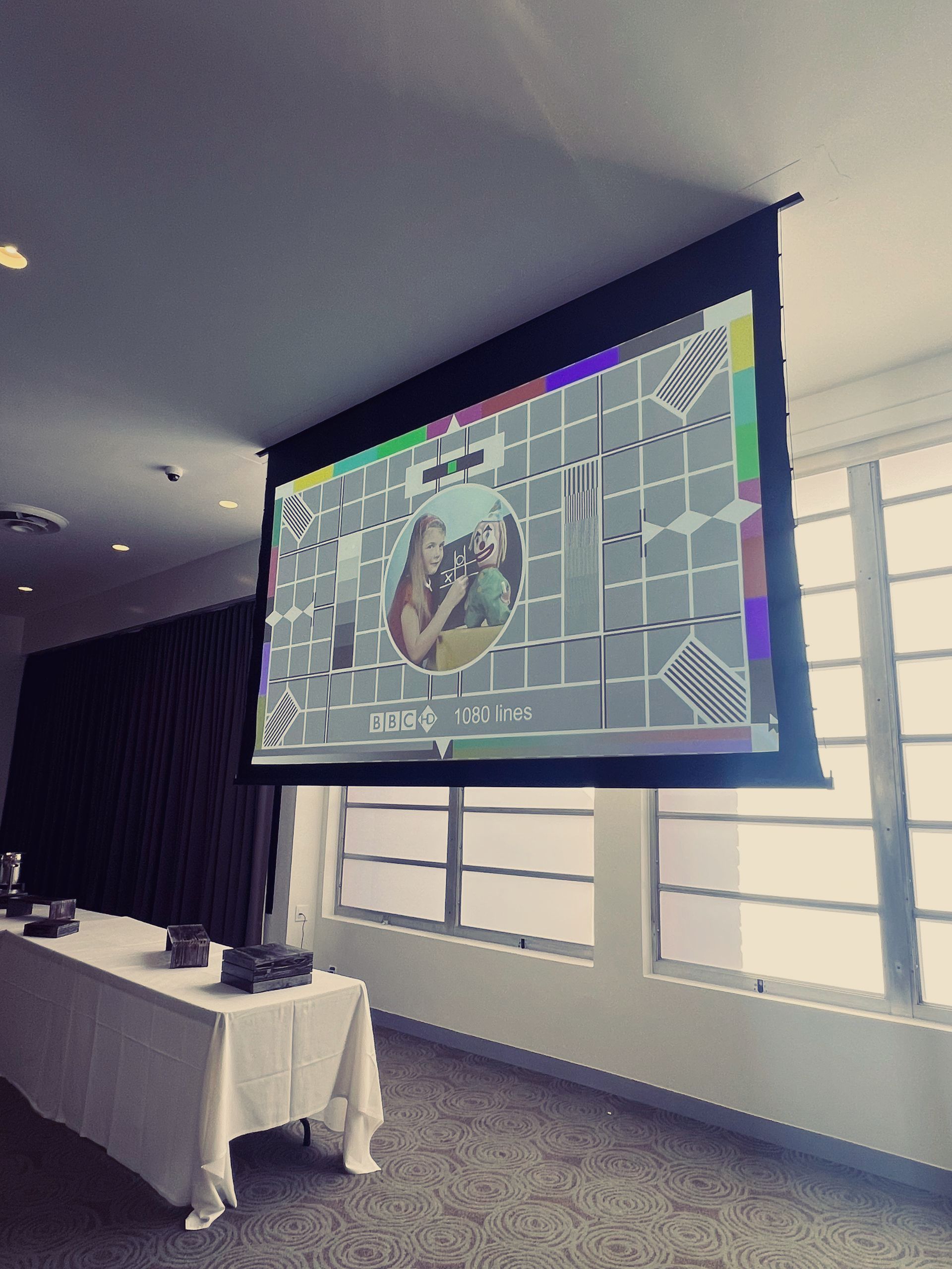 Projector screen showing a test pattern in a room with a long table and windows.