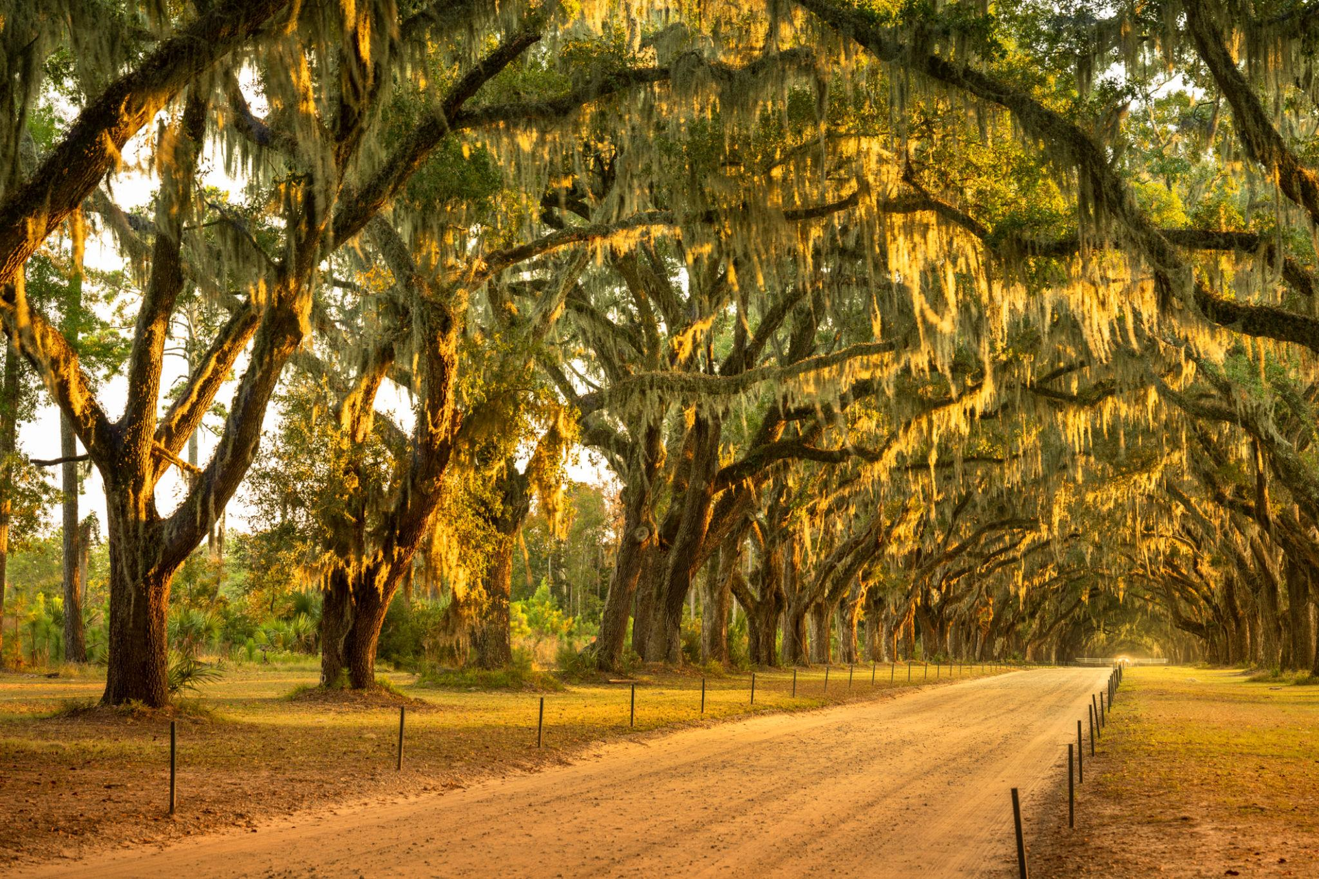 Oakleaf Plantation