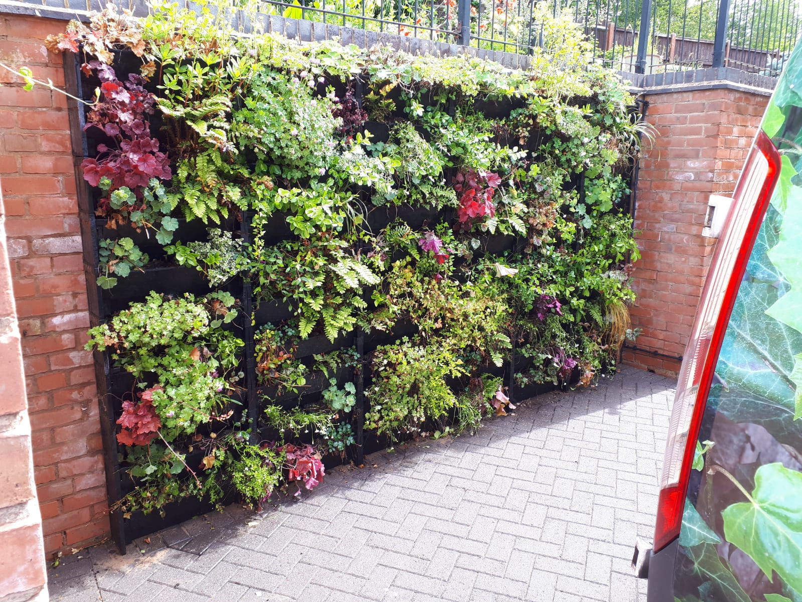 A plantbox living wall installed, planted and maintained for a client in Derbyshire