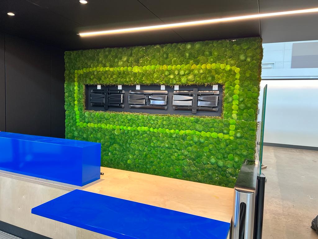 A non maintenance or irrigation internal Moss Wall for a reception area