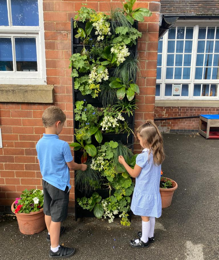 Children of the school admiring the nex plantbox living wall installation in their playground