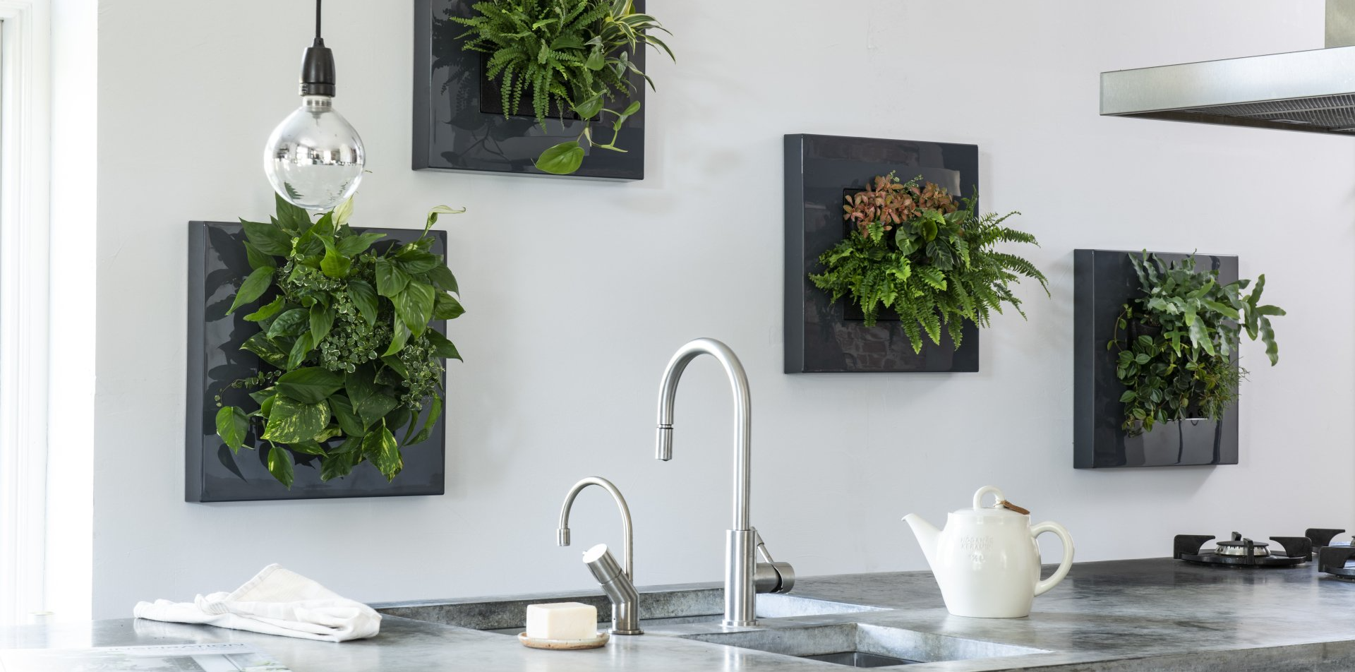 Kitchen with green wall planters, faucet, and a light fixture.