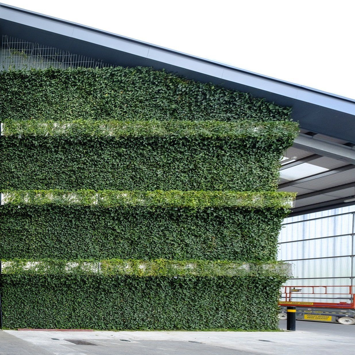 Green wall of plants on side of building with horizontal shelves.