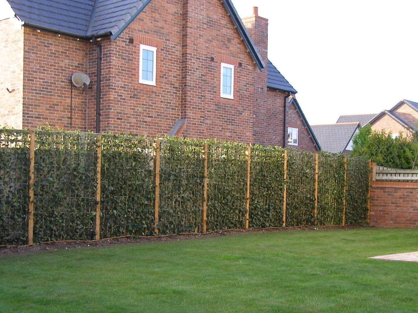 Mobilane Ivy Green Screens in various heights and species, ground planted, sleeper bed, planter box, or cabling method