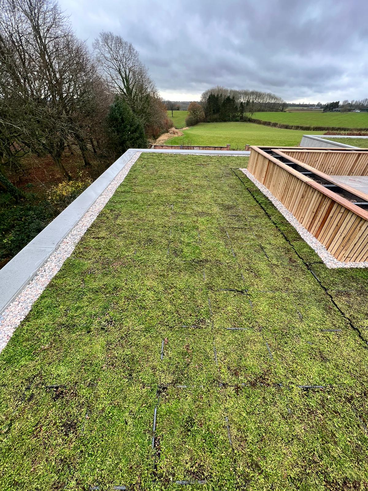 Create a sedum green roof on virtually any flat roof surface.