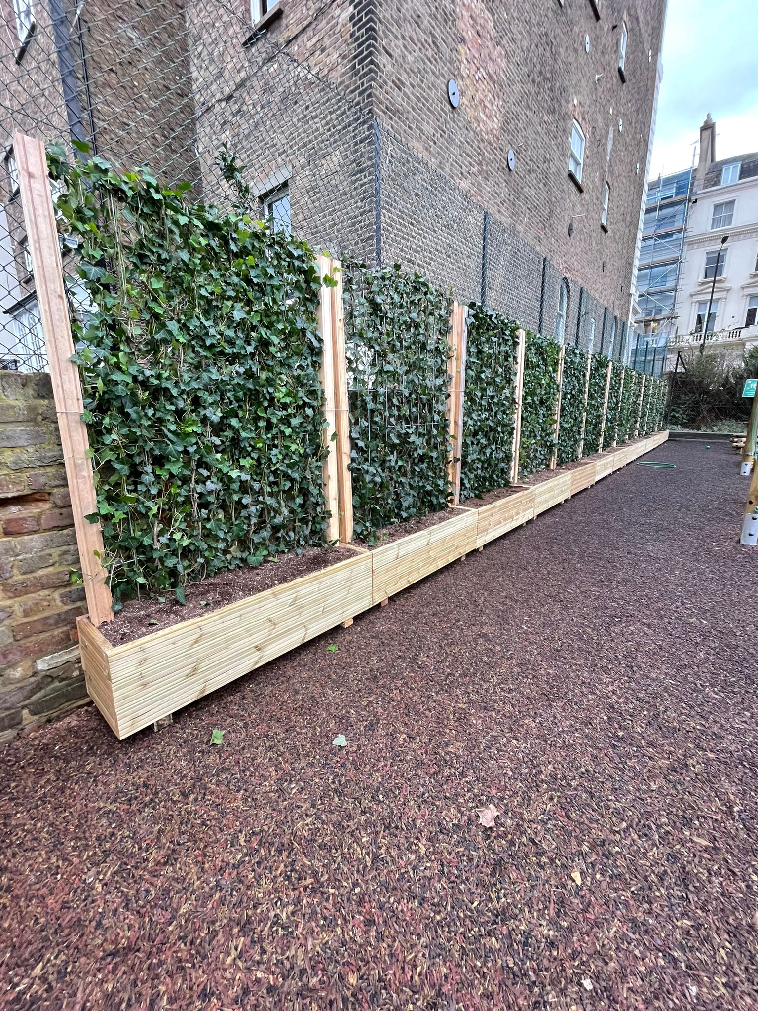 Mobilane Ivy green screens installed into timber planter boxes to filter harmful pm10 pollutants #greenmyschool #zerocarbon