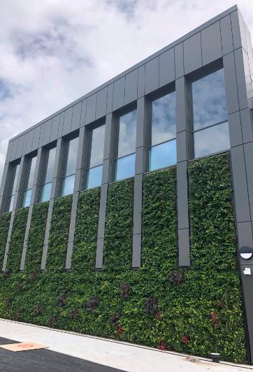 Plant box living wall adorning the front of Swansea university