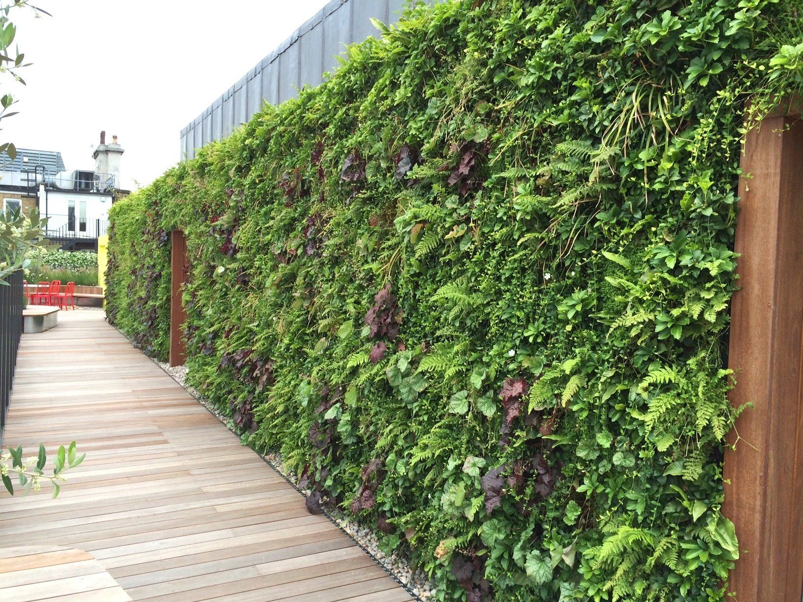 Growing revolution Plantbox and Mobilane wallplanter and LivePanel Green living walls