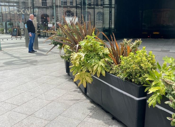 Planters filled with plants on a paved area, a person standing nearby.