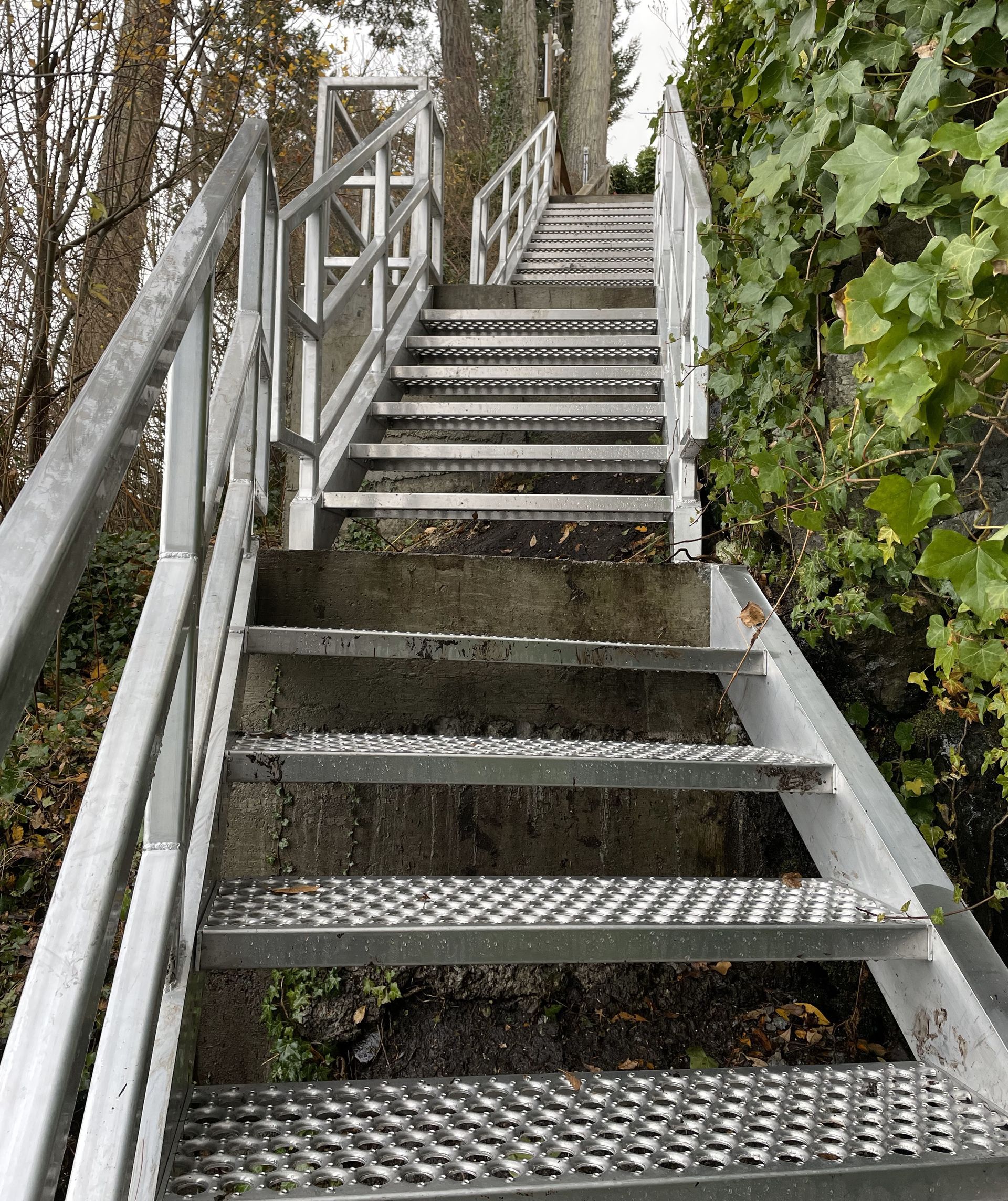 Steep metal staircase with railings beside a leafy green wall outdoors