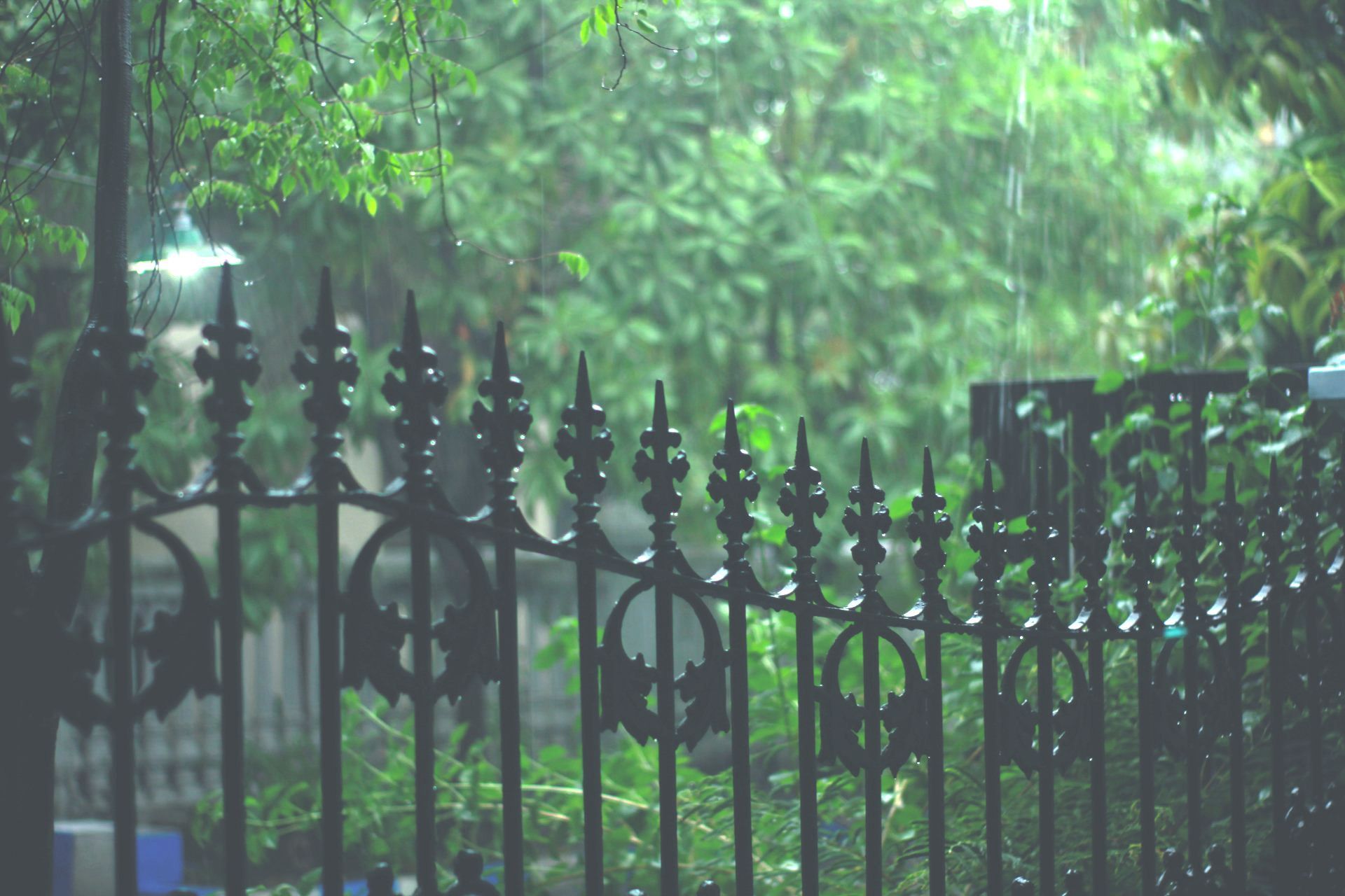 Black wrought-iron fence in a rainy green park or garden.