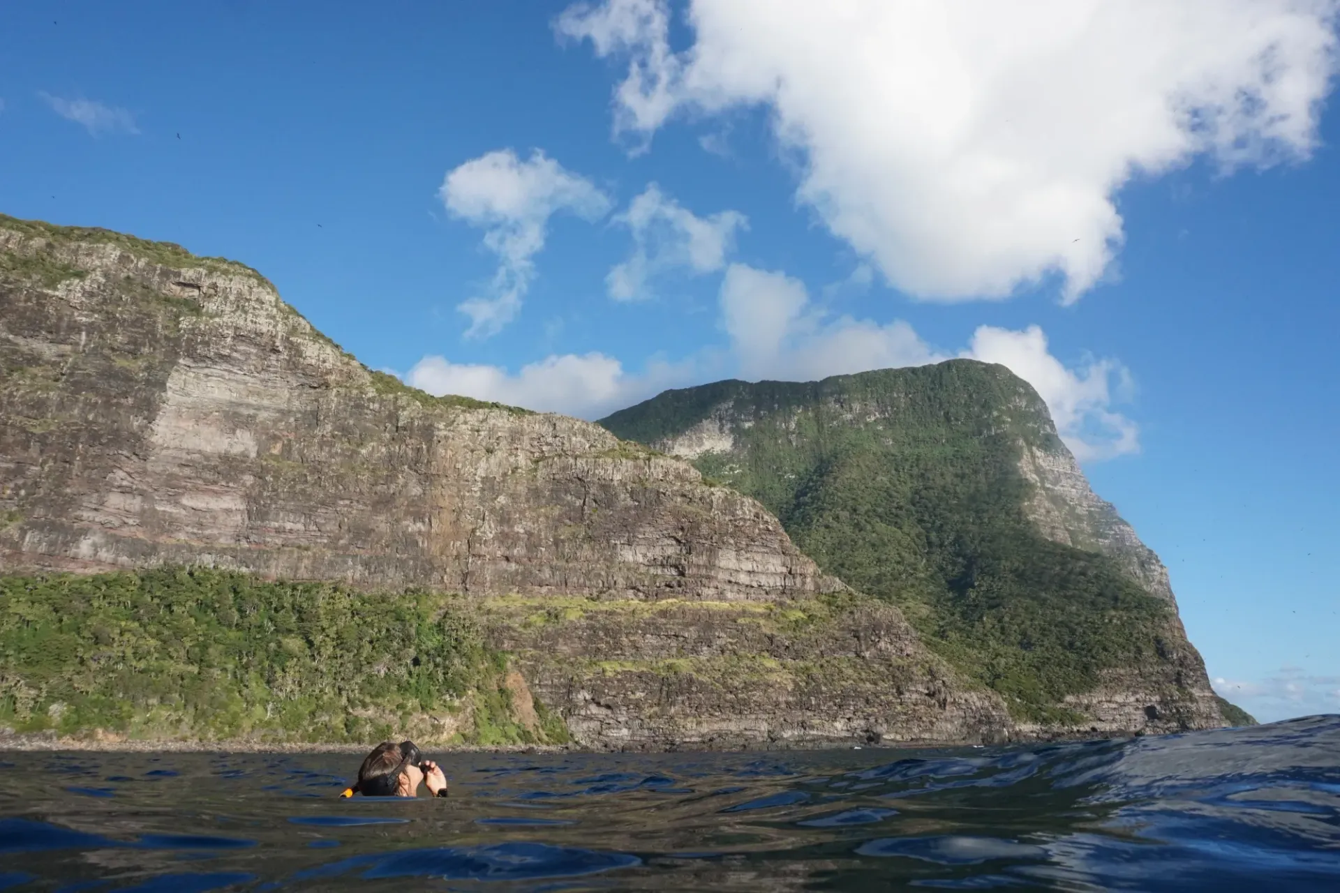 A person is swimming in the ocean with a mountain in the background.