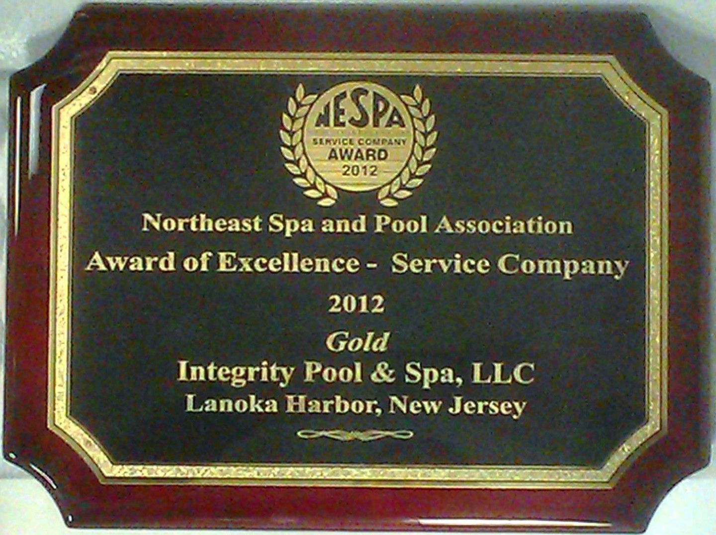 Northeast spa and pool association award of excellence service company gold integrity pool & spa llc lanoka harbor new jersey