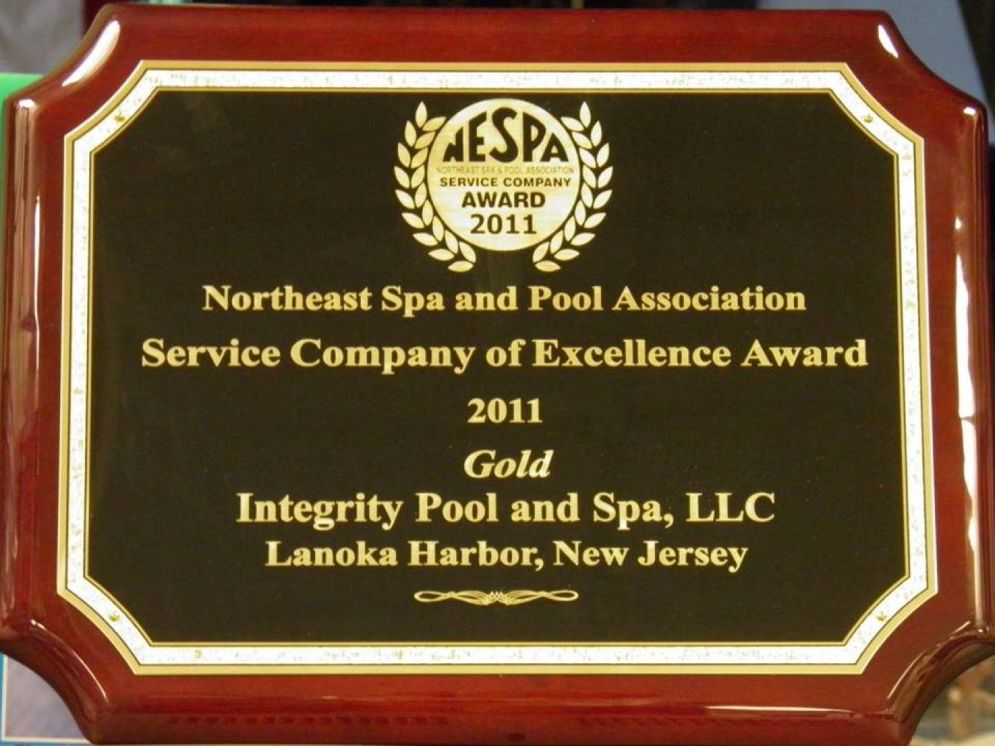 Northeast spa and pool association service company of excellence award 2011