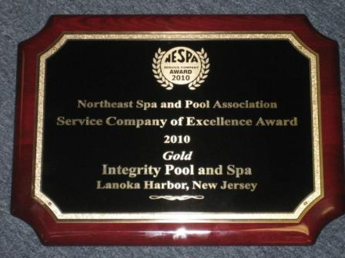 Northeast spa and pool association service company of excellence award 2010 gold integrity pool and spa lanoka harbor new jersey