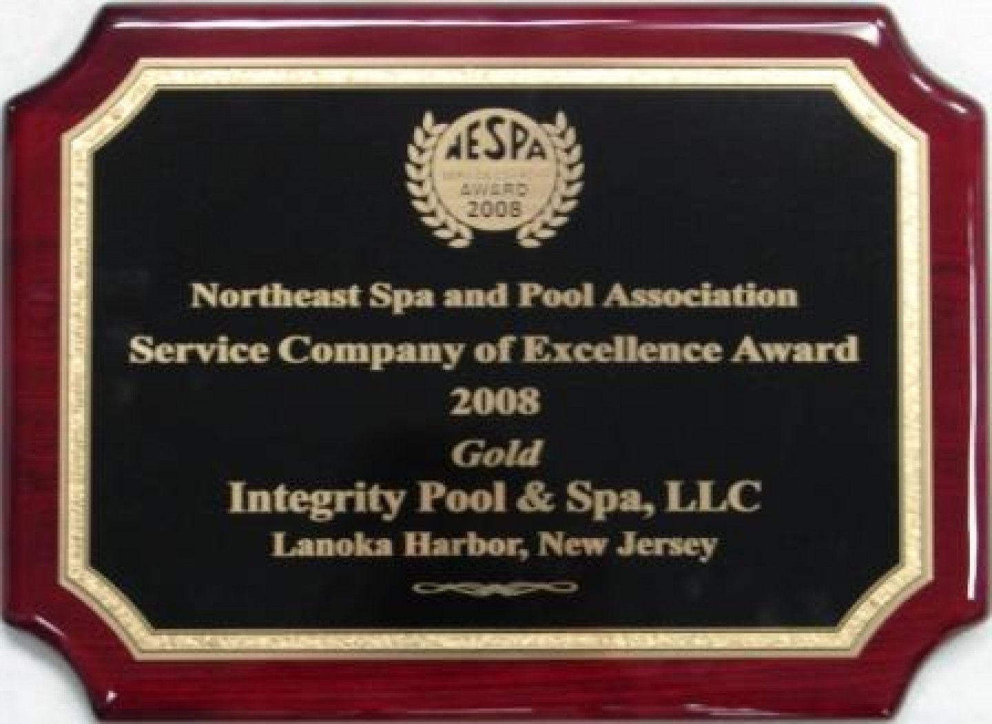 Northeast spa and pool association service company of excellence award 2008 gold integrity pool & spa llc lanoka harbor new jersey