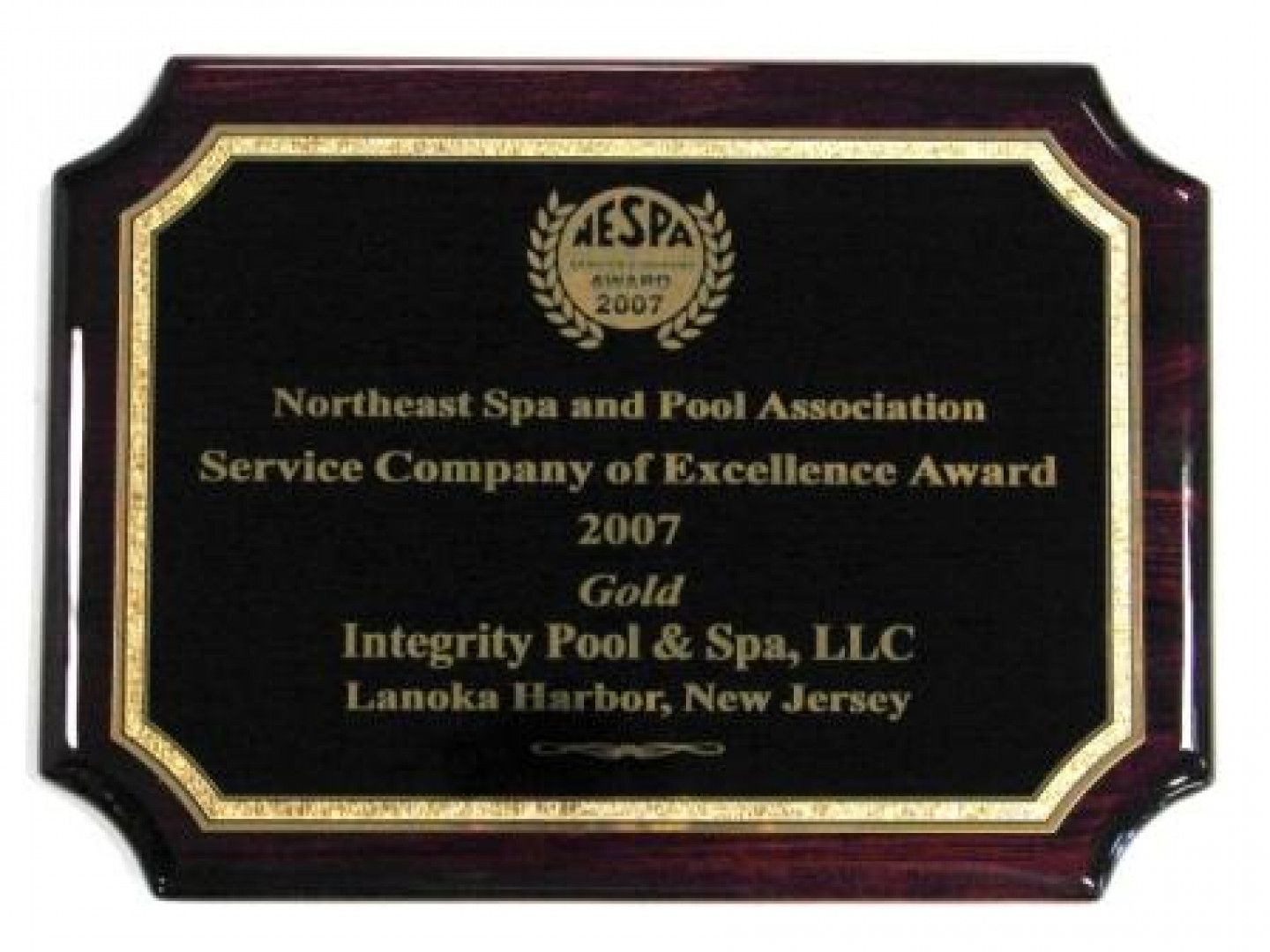 Northeast spa and pool association service company of excellence award 2007
