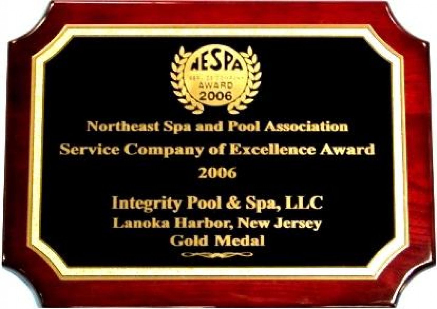 Northeast spa and pool association service company of excellence award 2006 integrity pool & spa llc lanoka harbor new jersey gold medal