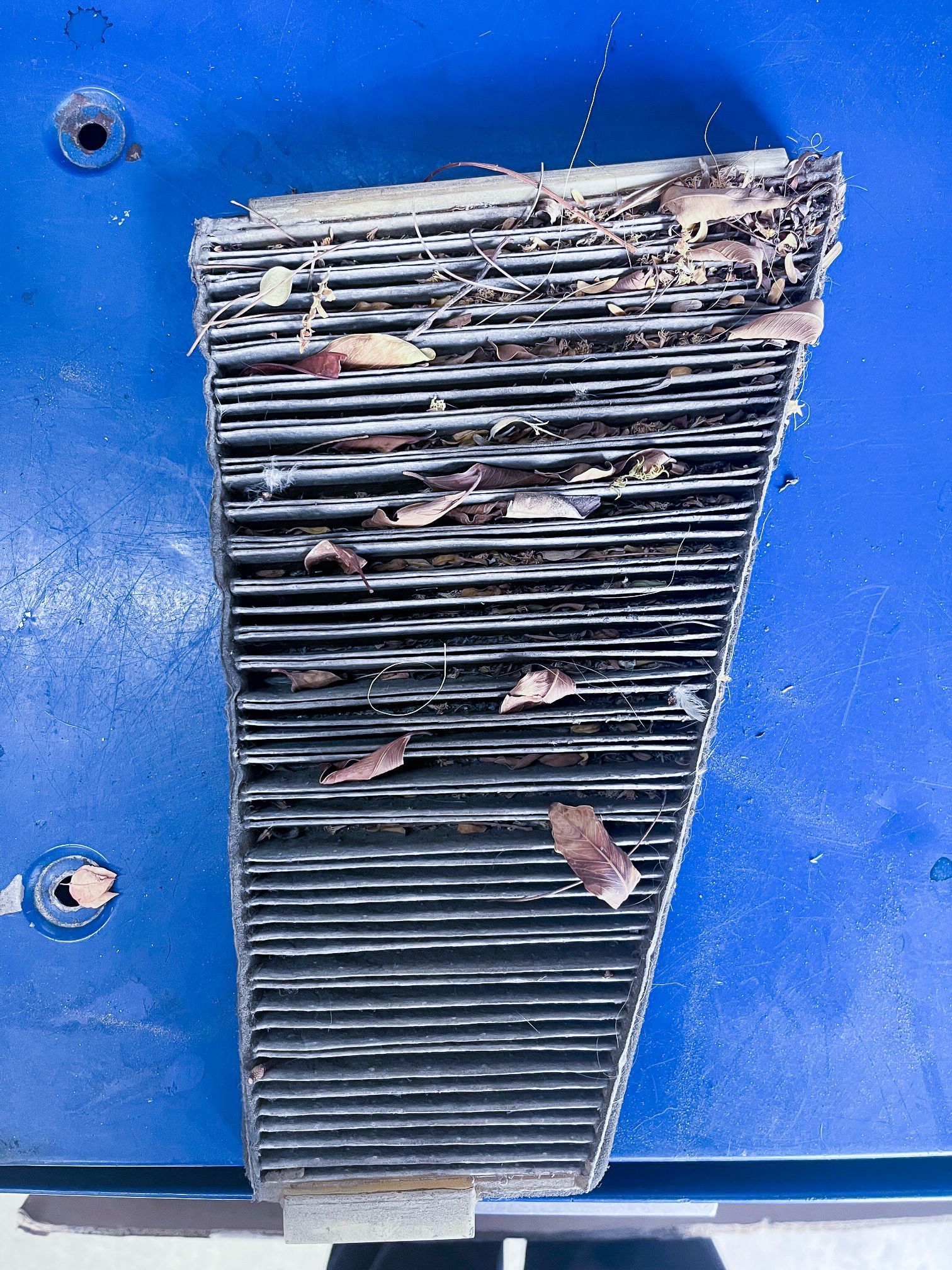 Dirty air conditioner filter with leaves and debris on blue surface. | Jim Brangham Auto Repair