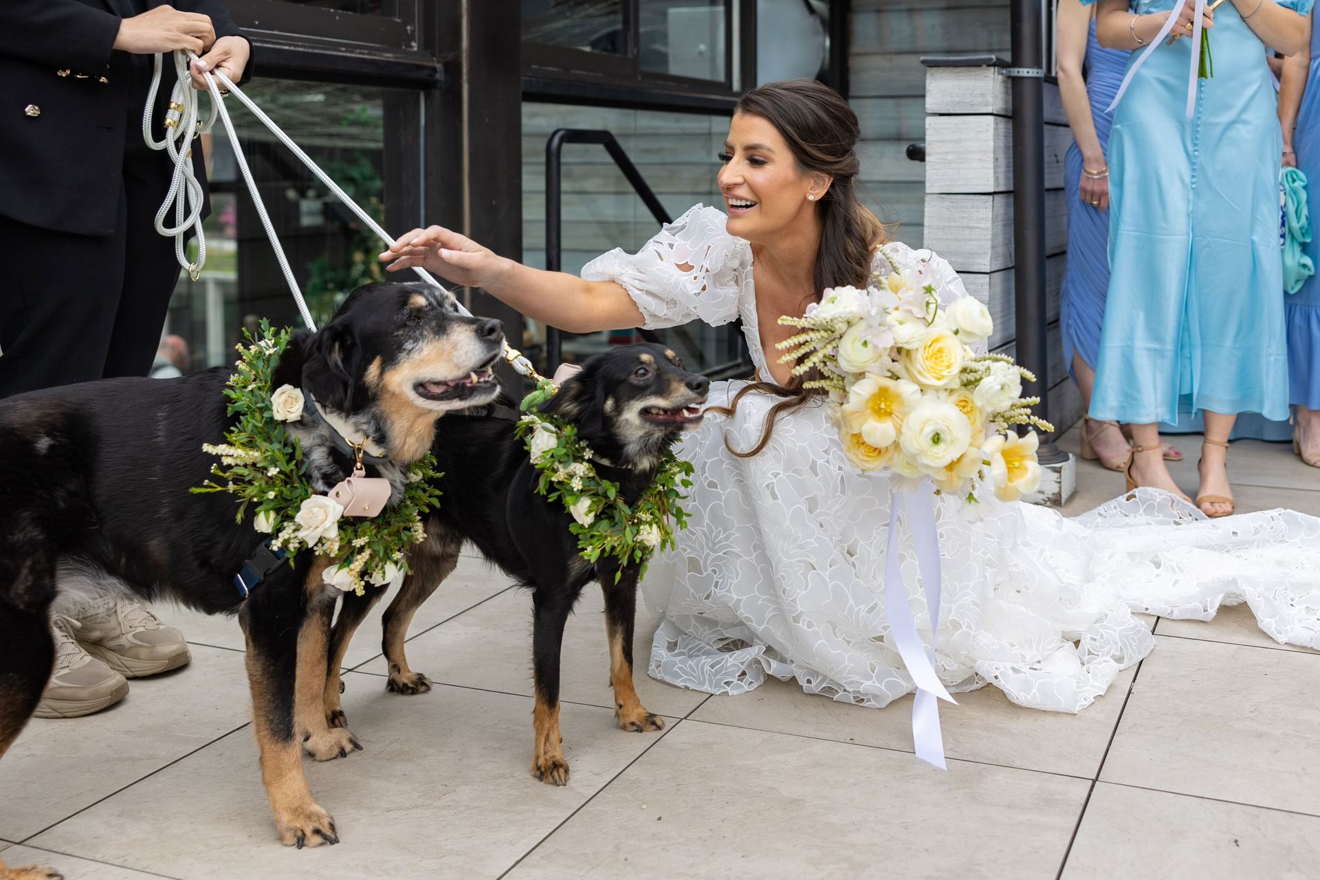 Bride kneeling beside two decorated dogs at an outdoor wedding, smiling and holding their leashes