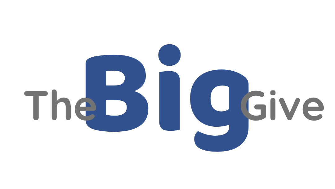 The big give logo is blue and white on a white background.
