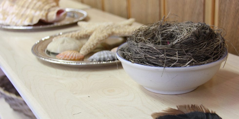 A bowl with a nest inside is sitting on a table next to a plate of seashells.