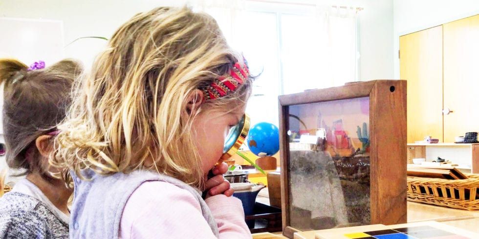 A little girl is looking through a magnifying glass at an anthill terrarium.