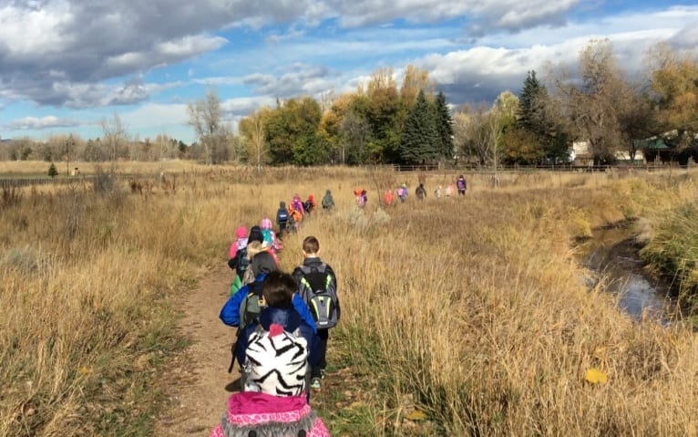 A group of children are walking down a path in a field.