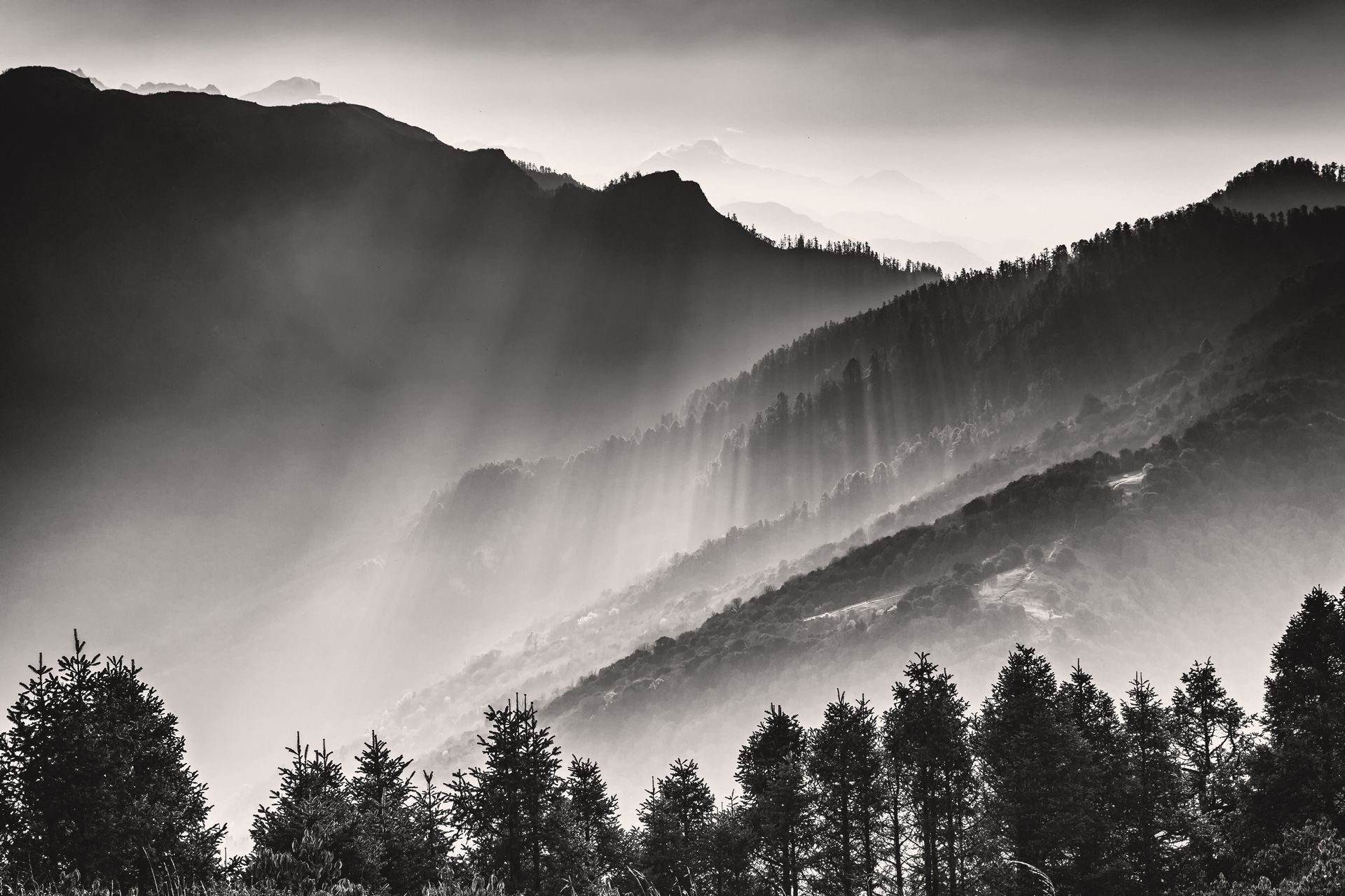 mountains in mist