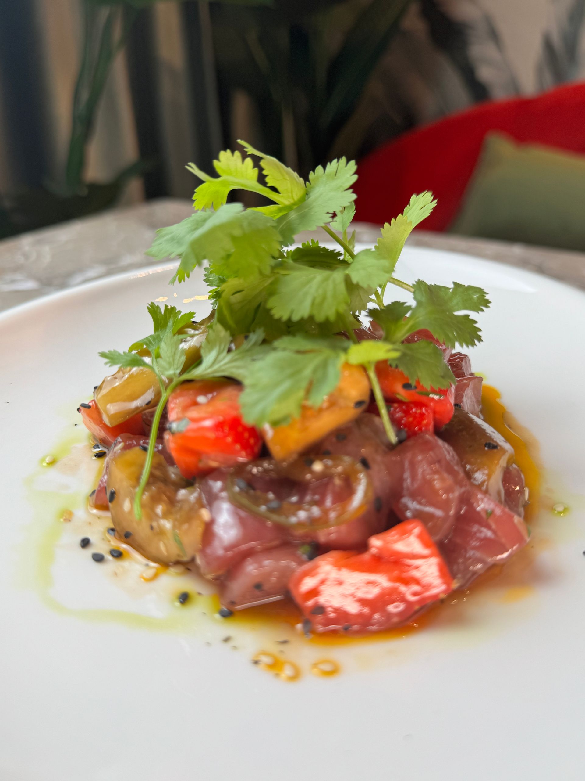 Un piatto gourmet di tartare di tonno guarnito con coriandolo fresco su un piatto bianco.