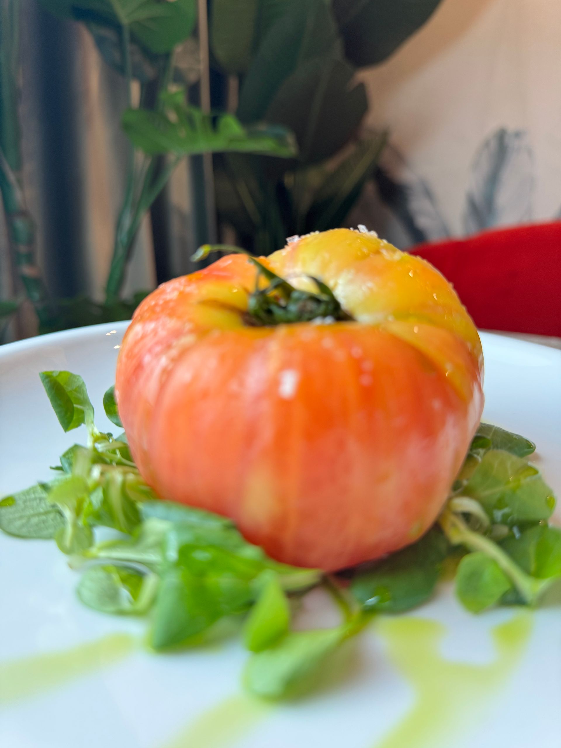 Un pomodoro maturo e multicolore di una varietà antica, guarnito con piccole foglie verdi e un filo d'olio, su un piatto bianco.