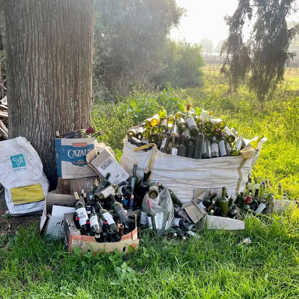 Collected glass bottles piled in bags and boxes in a grassy field