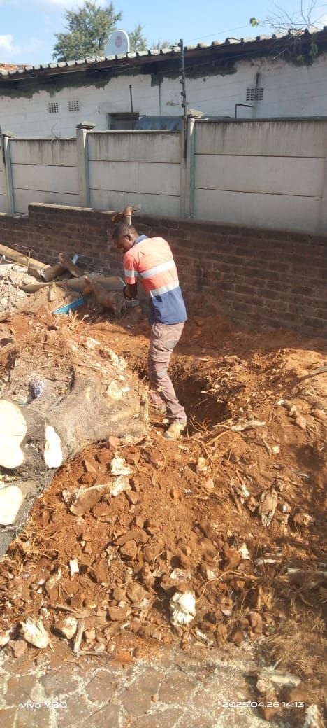 A man is standing in dirt digging at he bae of a tree