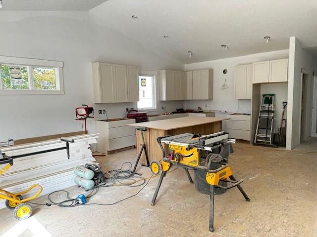 7696 Fase Street SE Lot 1, Ada, 49301 construction 01