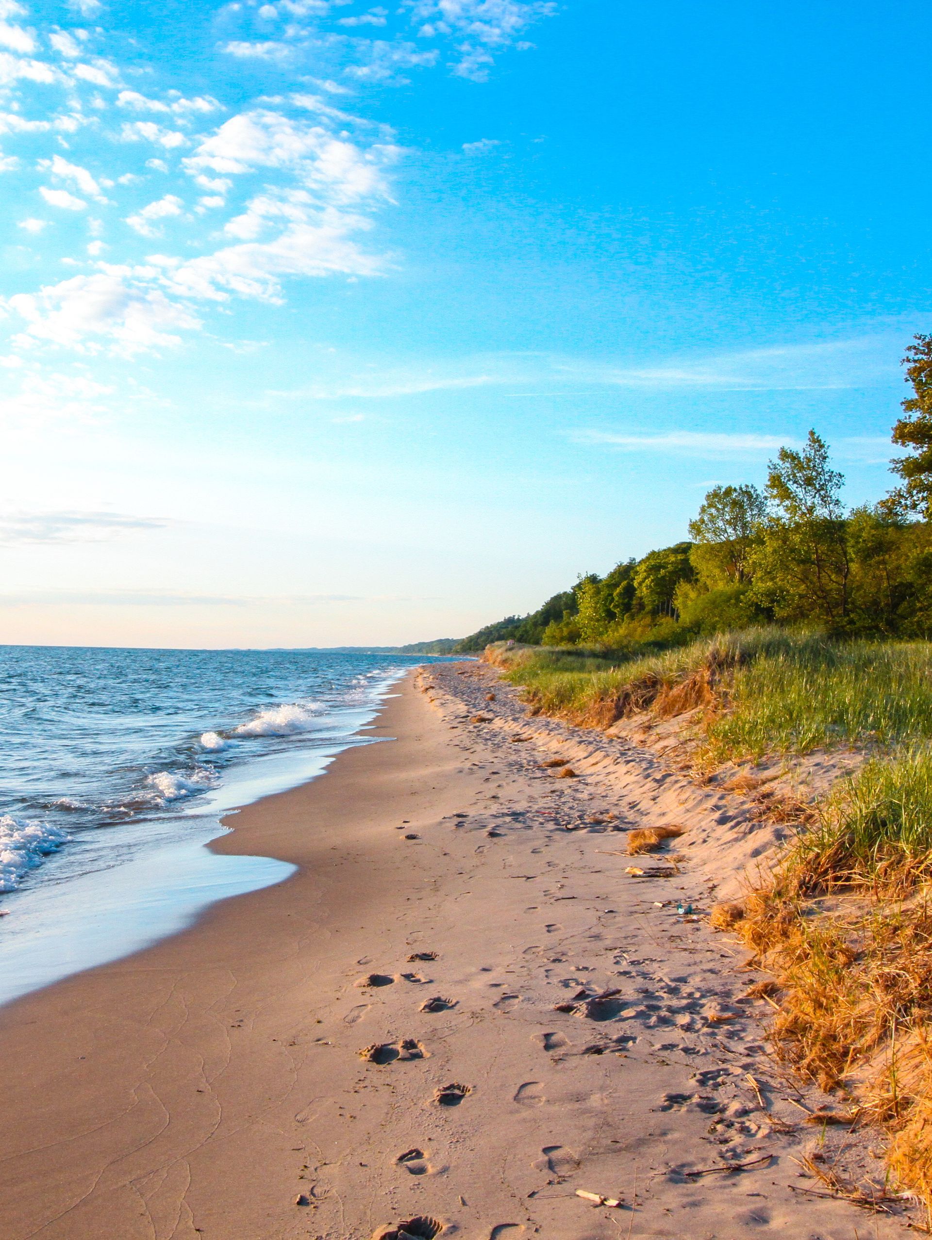 A sandy beach with trees on the shore and a blue sky