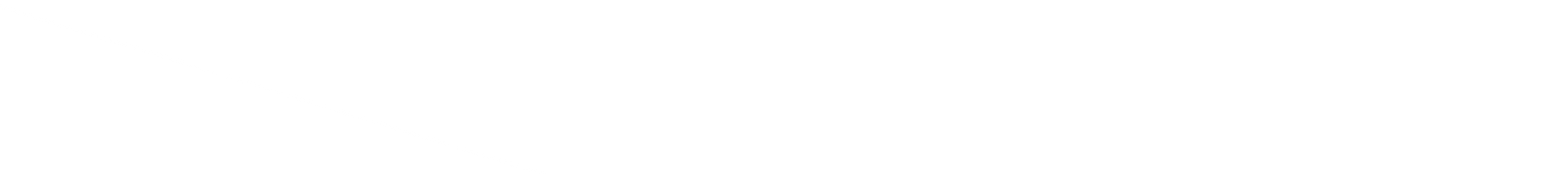 White horizontal bar with a thin black border at the top and bottom