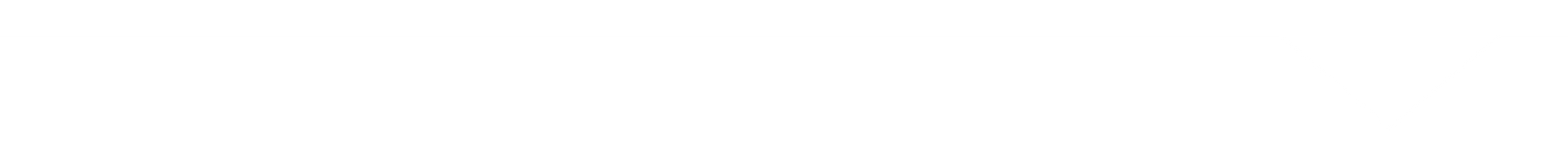 Blank white strip with a thin black border at the top and bottom.