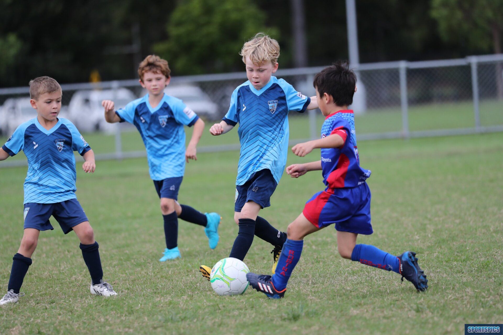 Tweed United junior soccer players enjoying a game